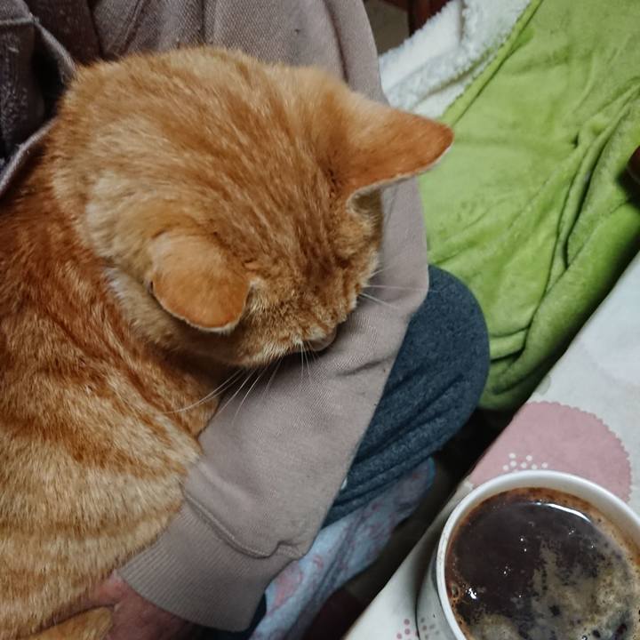 2e7bd685 530c 42fb a7bd ed9f82cb0e63 1586893877526