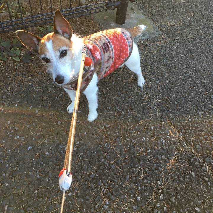 2e7be6a3 eaad 44e7 b55c 5ea27a0fe614 1609802700576