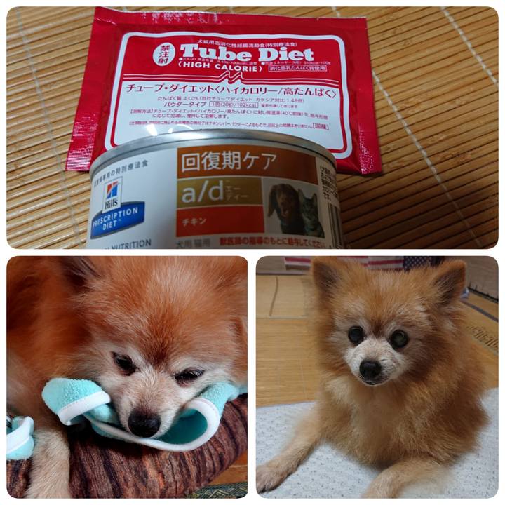 2e7c0794 7c42 4380 b746 dd1b48fb0fe1 1629771396651