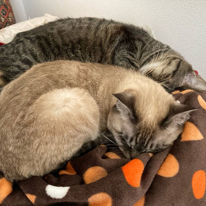 2e7c27ab 595f 4ef5 a0e6 b4c454b6b779 1766824661056