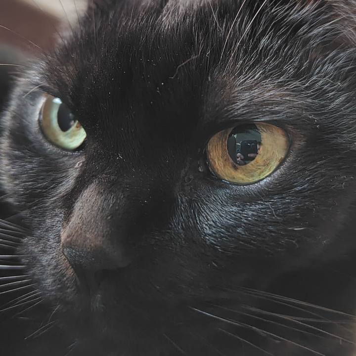 2e7c39b4 8cec 4725 9f12 8bae80ad9e7b 1766801879498