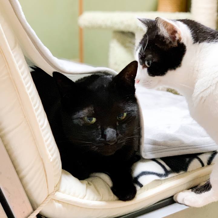 2e7c3ade fd82 4e68 81e1 539cb253439e 1546480673812