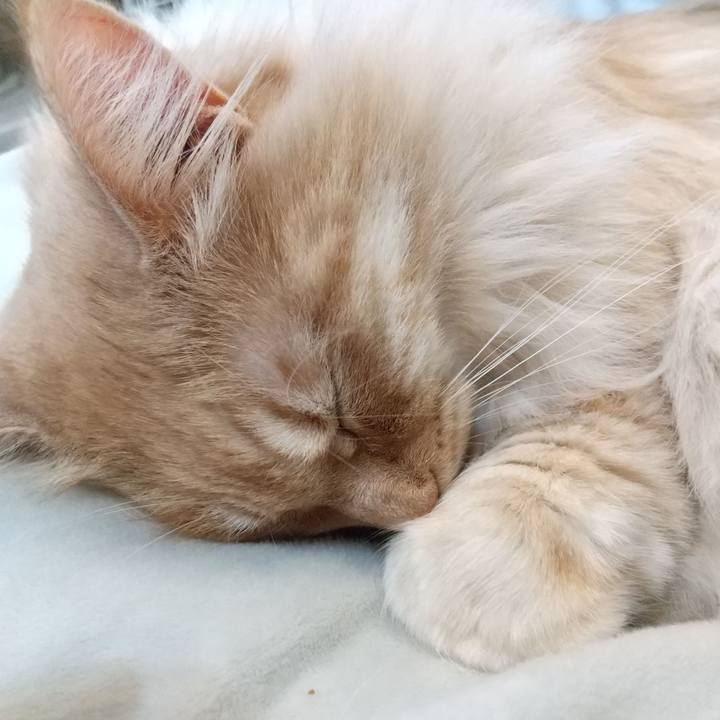 2e7c45d7 ed43 436d bd01 6b89baceede5 1648958261009