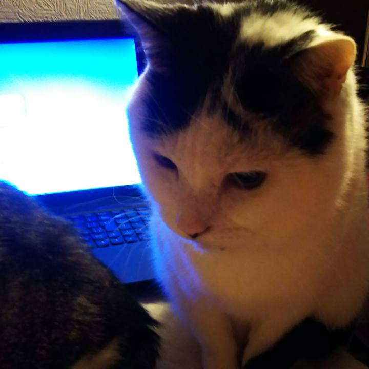 2e7c61fe 14e3 493c 846e b624f9ca8d20 1548431004997