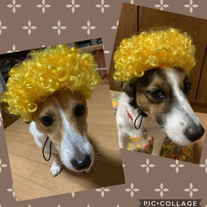 2e7c8087 7617 401e 9e9c 235ba42072a0 1569052366604