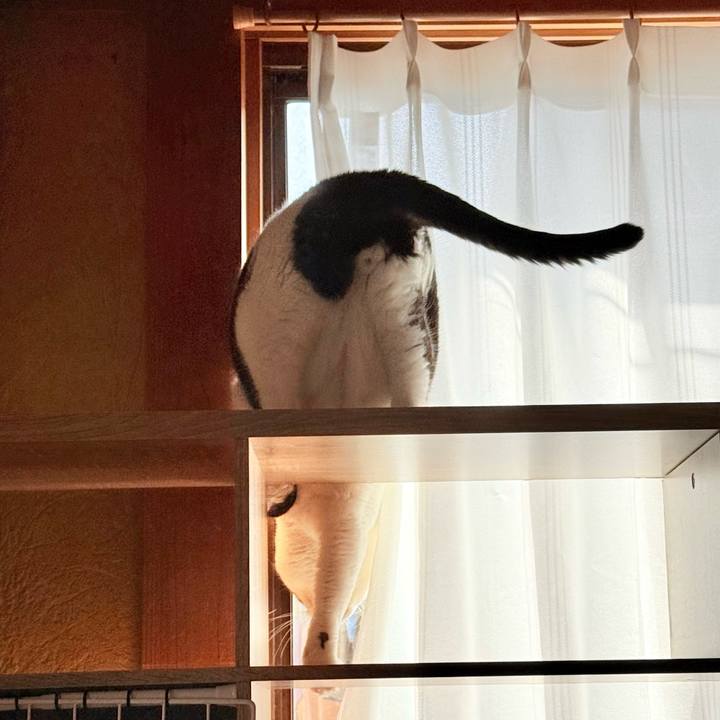 2e7c9216 6c18 493e bd91 7b4b40d2cd08 1763949979072