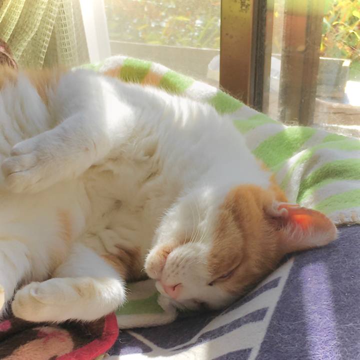 2e7ca30e 253b 4e0a a9c3 3d798b985dd2 1605480479574