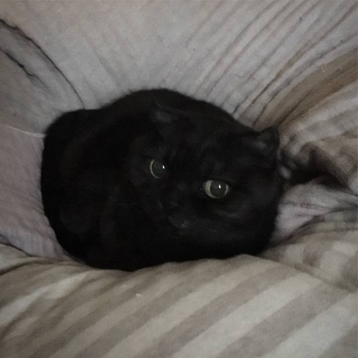 2e7cb46e 8165 4004 b939 b6c490f02a9b 1545626768823