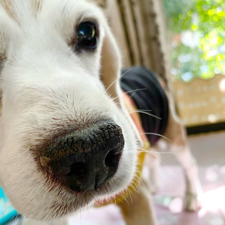 2e7cf949 c570 4ce3 ba85 287abce8bf12 1669356269052