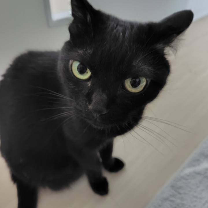 2e7d2505 4343 41cd 9766 448cd3df71af 1717365312758