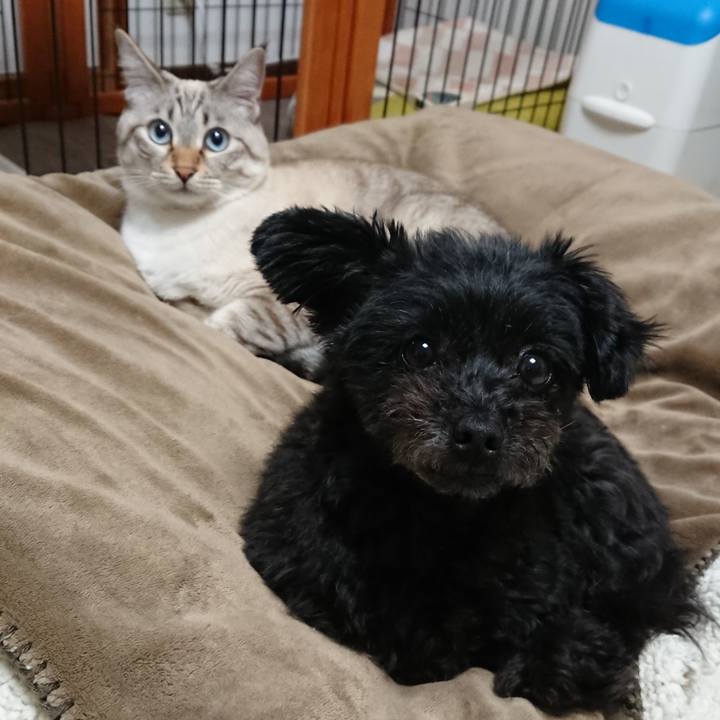 2e7d31ea 7cad 4174 bebc 6b9af2e59e15 1512085296605