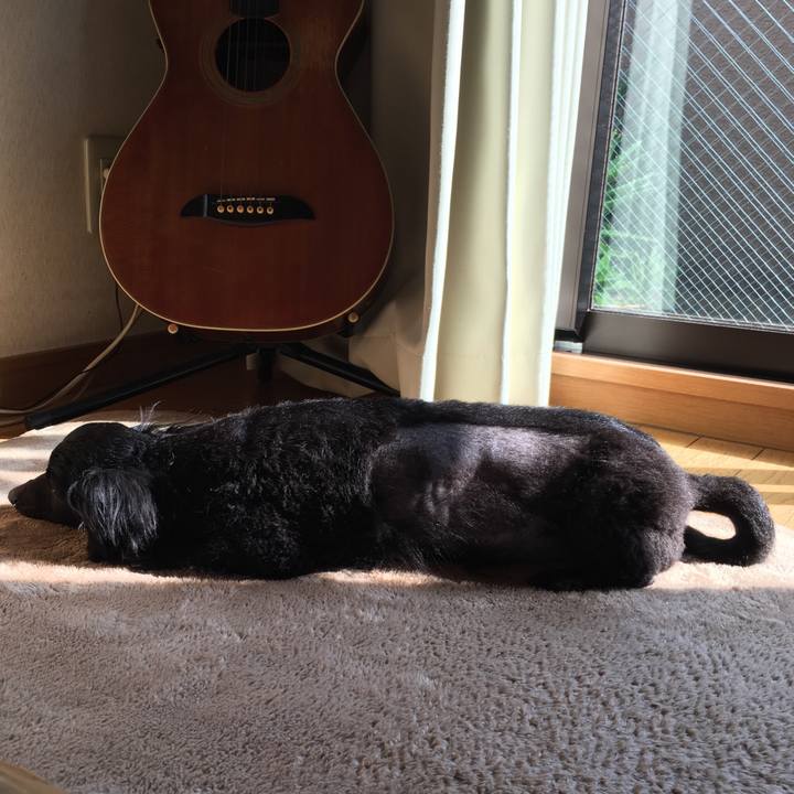 2e7d6b58 c2db 4b03 b461 1661fdeb503b 1522618574171