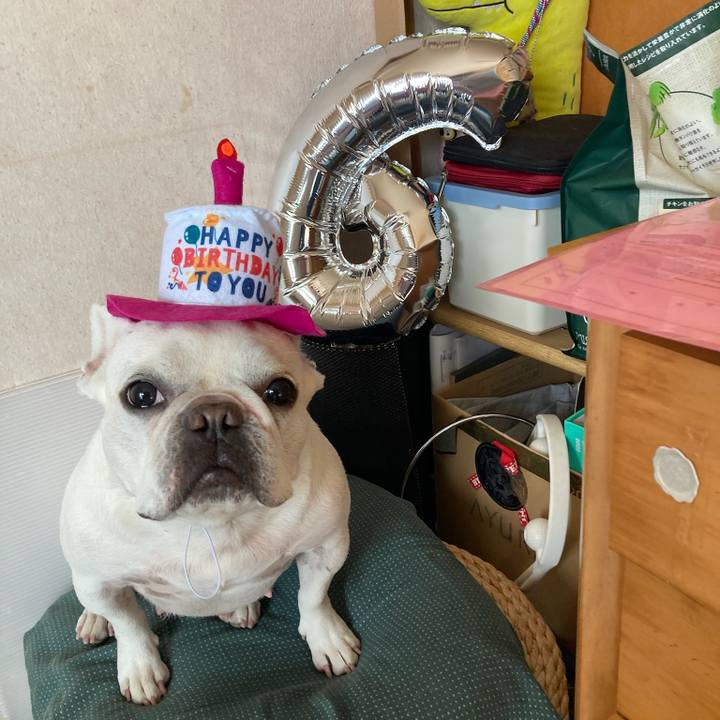 2e7d6f4a 866c 49c4 8d07 f82b23aa6a1c 1730498235000