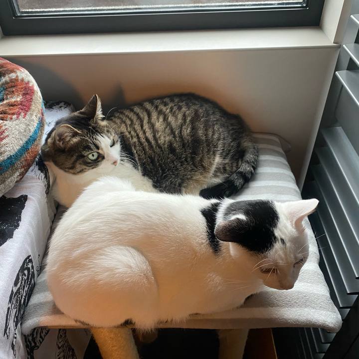 2e7d711f f96d 4a83 b5ea 415408963707 1715588753417