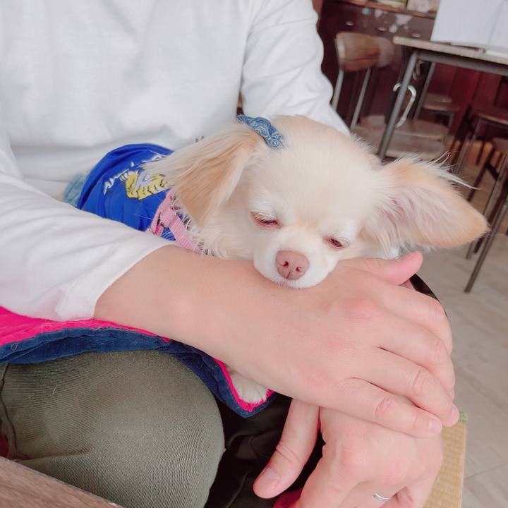 2e7d792a f844 44cb 81c8 8e1050074206 1704201889111