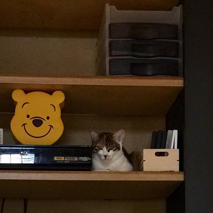 2e7d80f1 22bb 4bb3 9415 54da1386e875 1642289470307