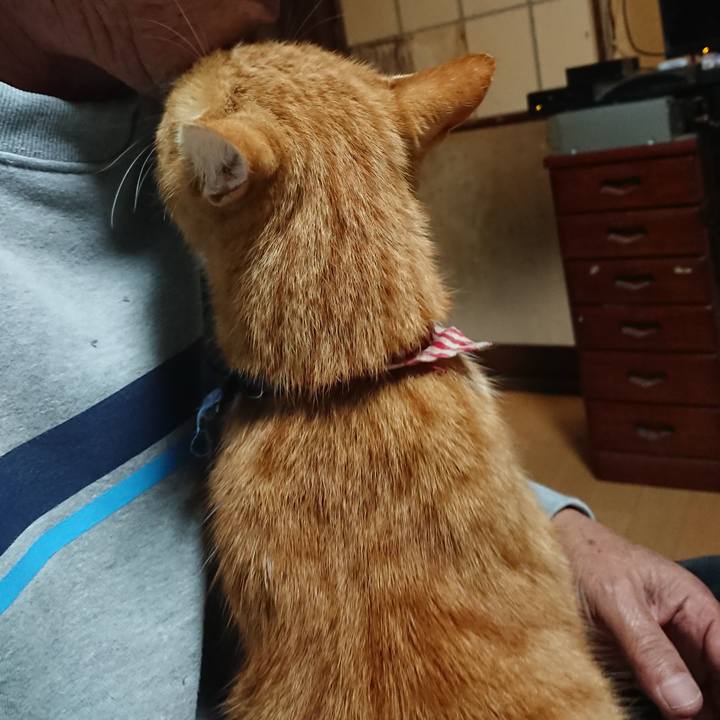 2e7d8873 8482 44ae 8ffc 4a842570a7fe 1603568339238