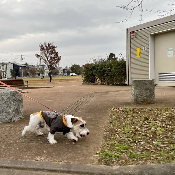 2e7ddea7 7f33 4438 bf77 10db9bd80b15 1637480996626