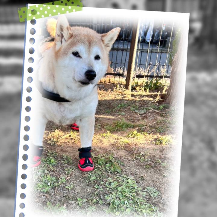 2e7de660 568d 49b2 acf5 349e45317a16 1733726602996