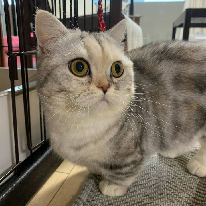 2e7e2537 e08e 4418 9a1f 3ee5fbcbc618 1708328491871