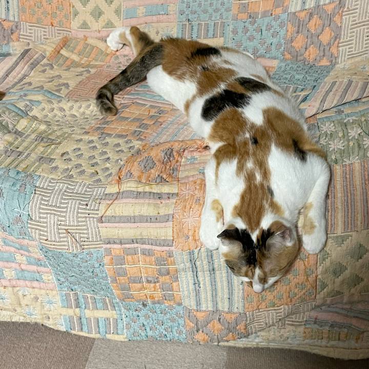 2e7e5d2b 72d1 433a bfe9 c695868c2958 1661692727587