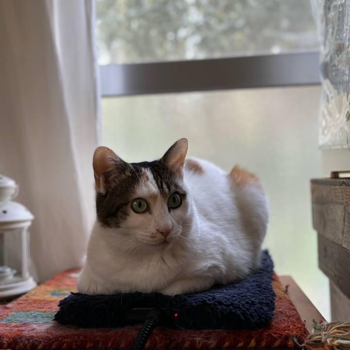 2e7e6c6e 30f5 45c6 9ef8 64450e9004f6 1732665082129