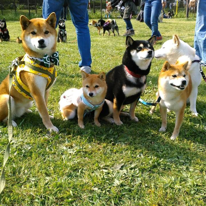 2e7e76f3 ef9a 4bb2 8603 a5d179f3838e 1590335183452