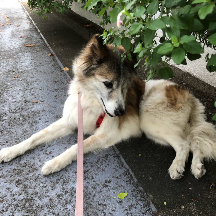 2e7e95e6 f4ed 4656 8756 3f197bcef5e4 1543798699796