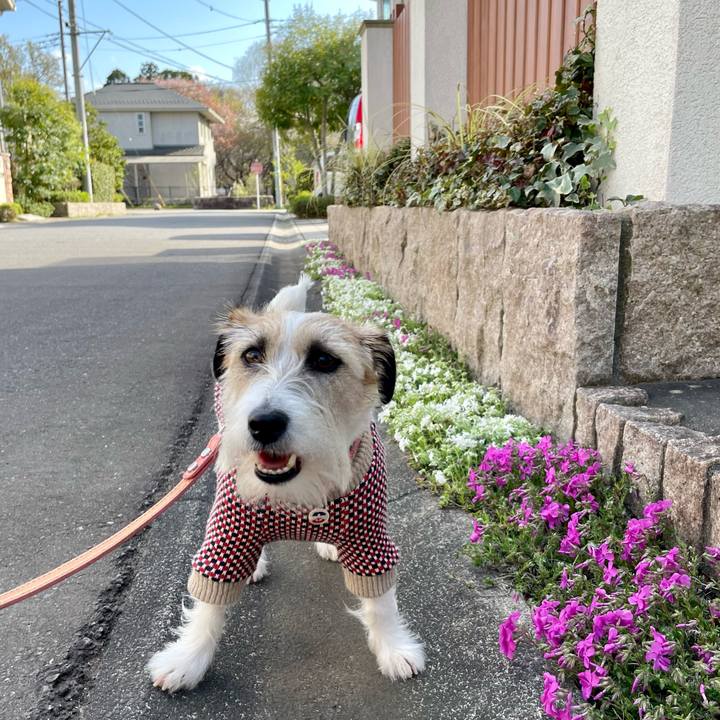 2e7ea60c 133f 4626 9308 bf2b86511155 1680072044359