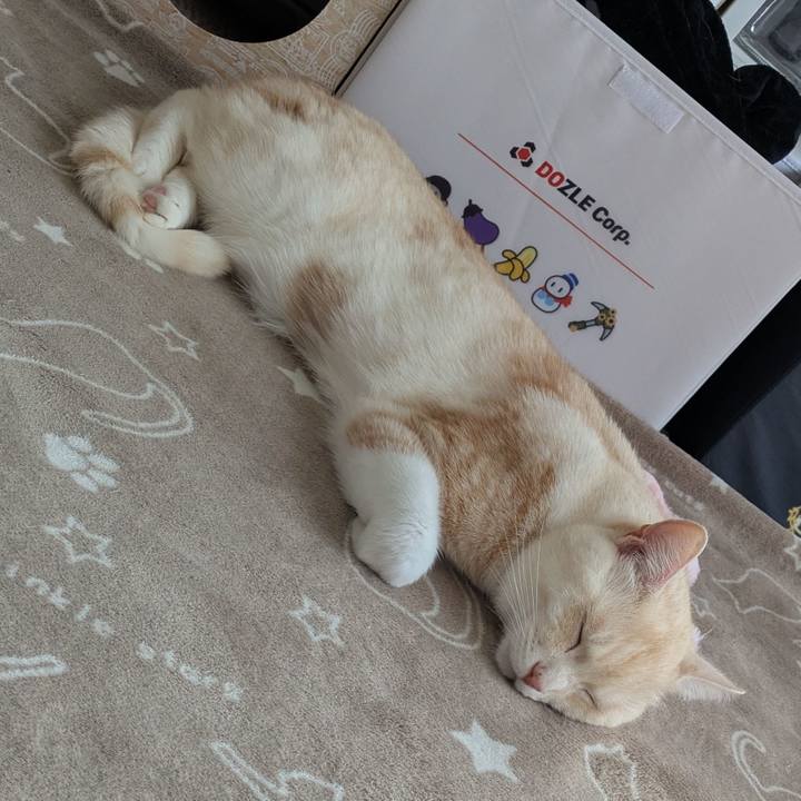 2e7ef95e b0f3 4145 b9e6 e6b5c635840c 1742350349132