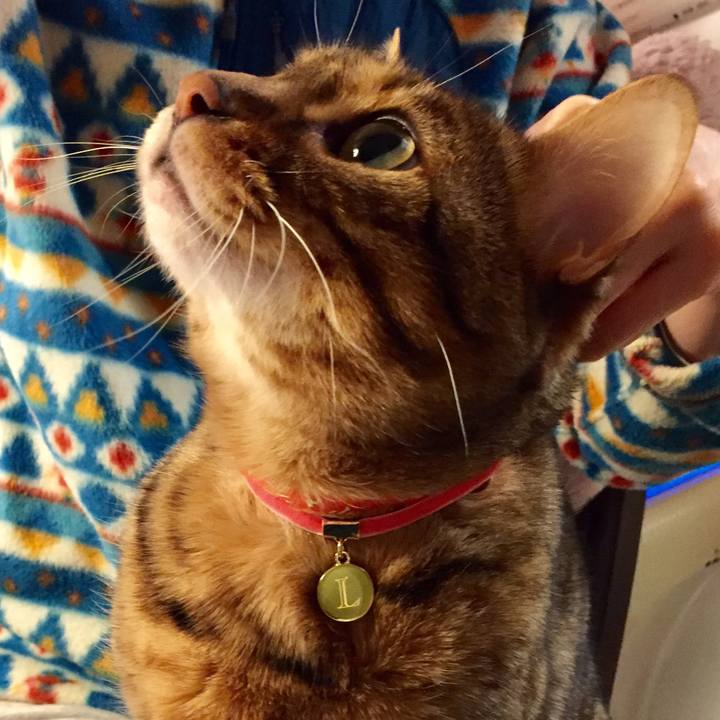 2e7f21f8 8dfa 4541 8851 ab45f5620bf9 1518995523640