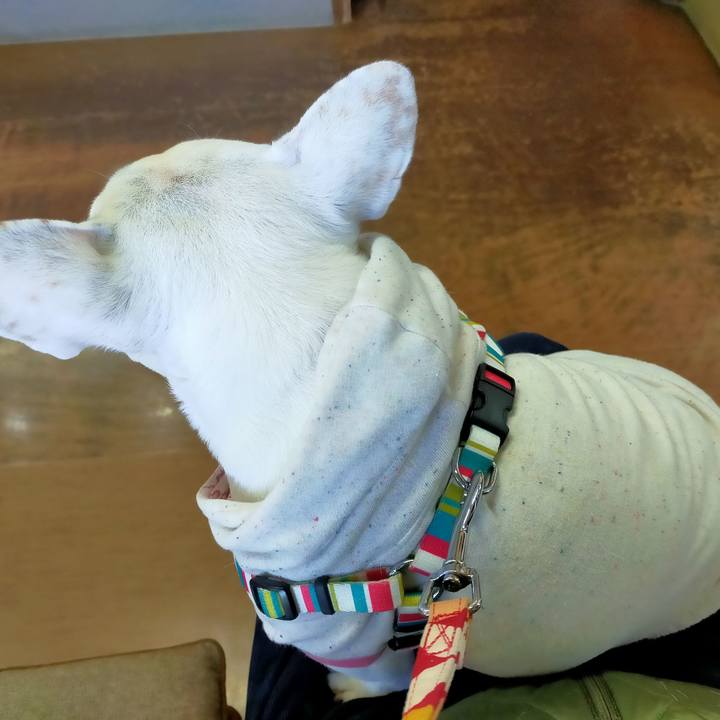 2e7f24cf 82b7 4d4f 9480 870dcf658de9 1642127083835