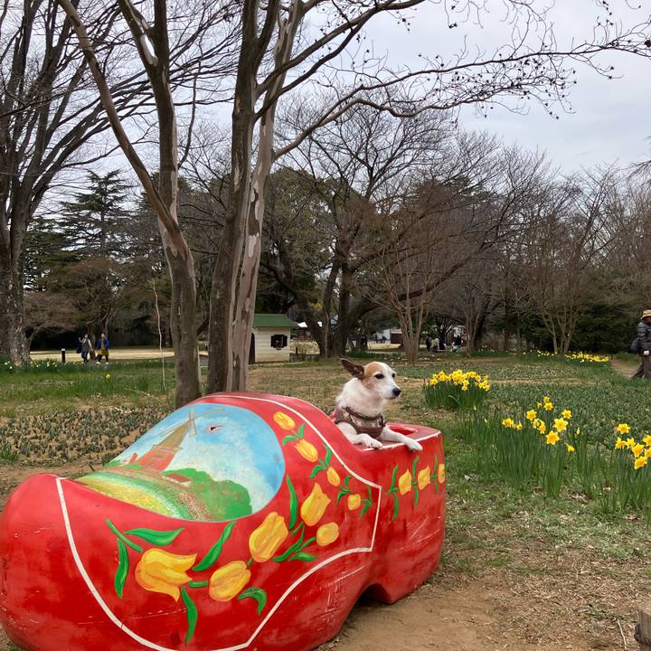 2e7f514e cc0c 41cb a58f 1957fef0b937 1711581811595