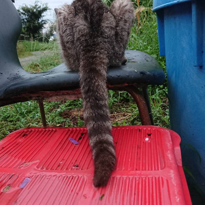 2e7f6850 47dd 45ec 8026 ec8ddbcb63bd 1598866544864