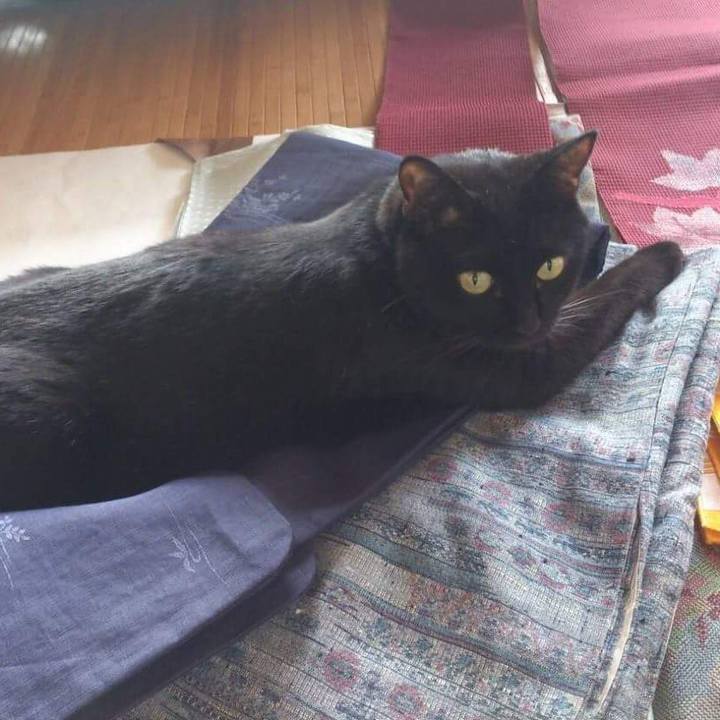 2e7f8ccd 6467 4984 9e58 ef66500b68a4 1538470295690