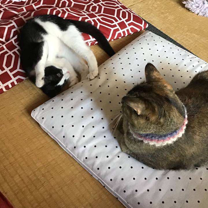 2e7fd795 3e29 4c28 b3e5 5dd7bcce7562 1626667758150