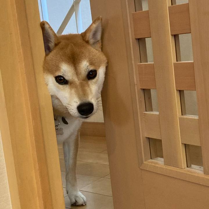 2e7ff89b 5d7b 4186 a917 48fe5c39a7fc 1660357069938