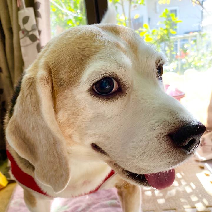 2e7ffb28 b4d5 4af2 9070 90cdab1bad31 1604549041439