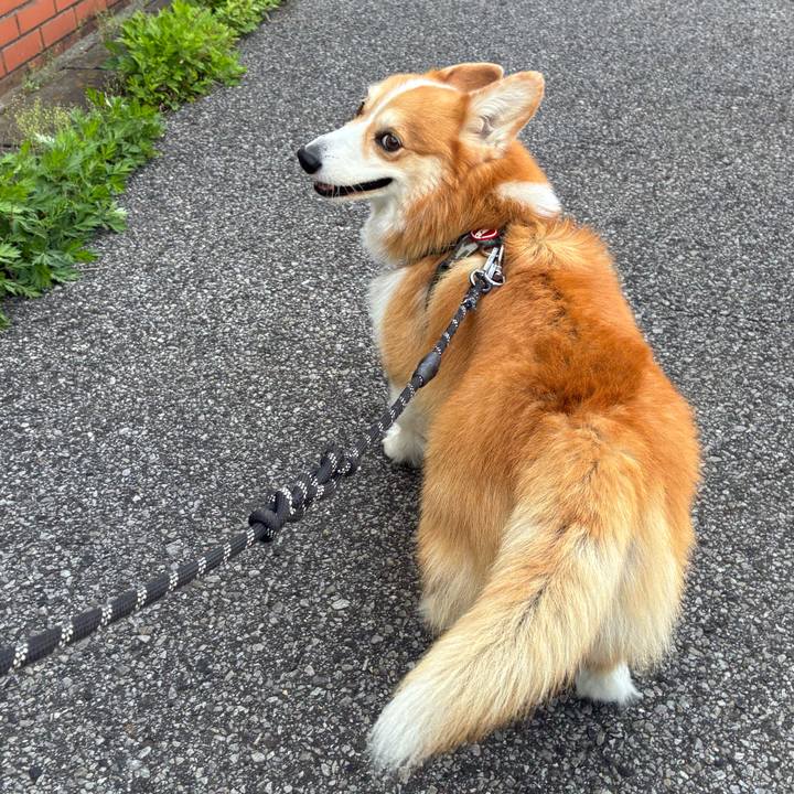 2e808310 5116 4ca0 8c56 f1b6bd031323 1776826592585