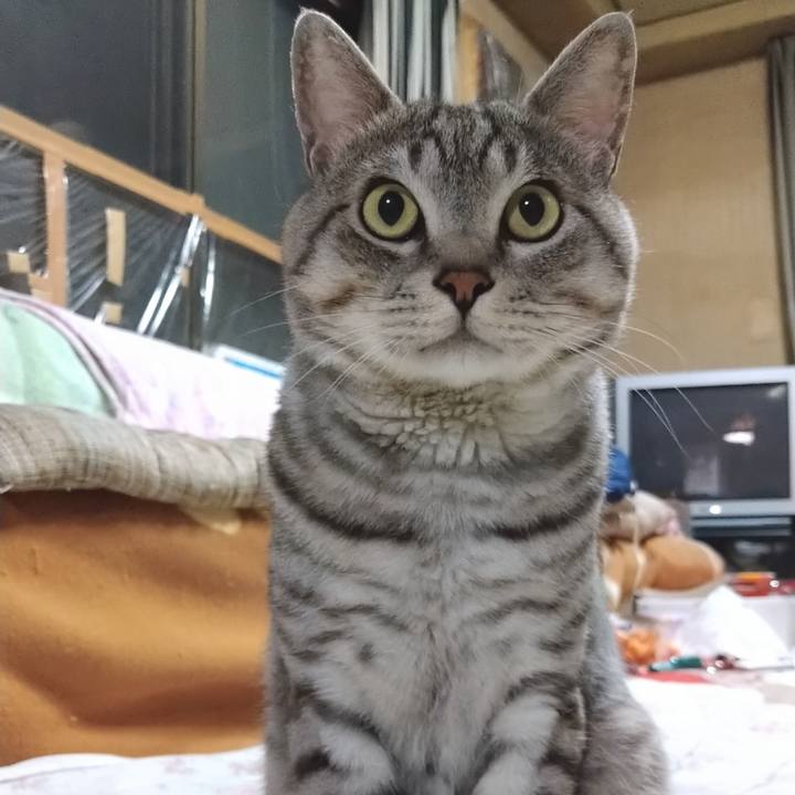 2e80ae34 9ede 4a69 b8fa 42639c42afdf 1601735517664