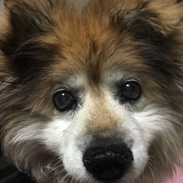 2e80b675 1250 4ab2 933c a19ad770634e 1602806568603