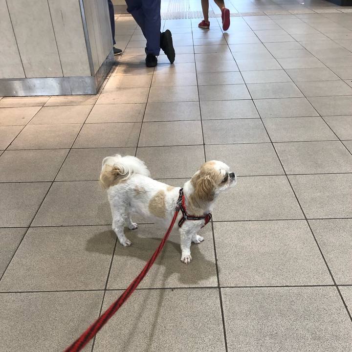 2e80d893 31f9 408d b276 d123f31c7063 1569534881923