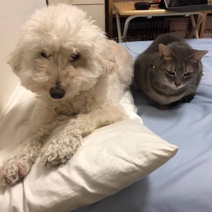 2e80f174 2045 4015 b0d8 e1b3d12c1738 1676589640034