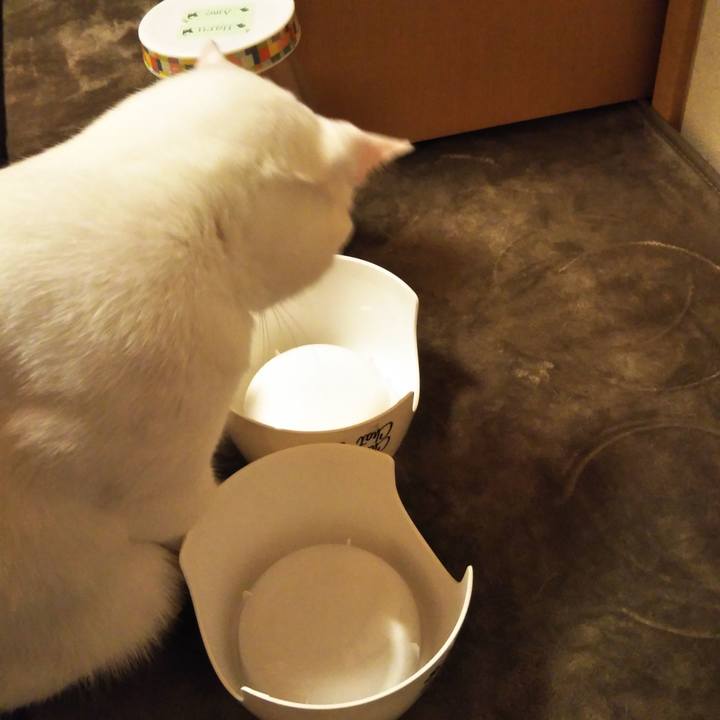 2e813c0a dbe3 4d0e 86f4 9d10c08ed8fd 1554732812207