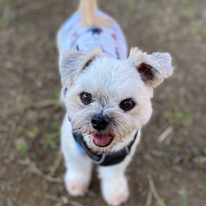 2e8160ad 04e3 459b 8b20 4b269f8290d5 1597478236685