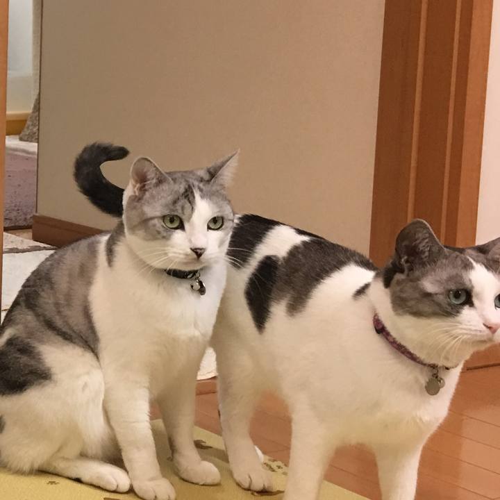 2e819634 999b 4569 8601 c34cac0f272d 1511864917887