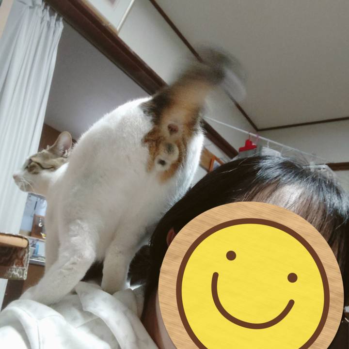 2e81972b 6ead 4f75 a11a bcbbdddd29e8 1714465668046