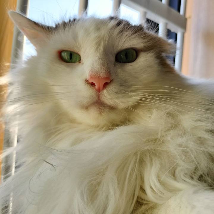 2e81be13 27ab 4f41 bcc8 f2ed3cfc9e39 1772264807149