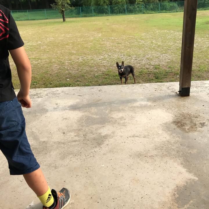 2e81c89f e5eb 49f9 a930 bef0a5c65b55 1566004072861