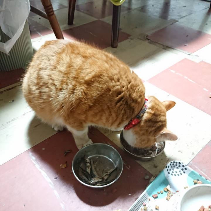 2e81d4fb 8530 4186 88aa 910ea002b5fc 1579813463650